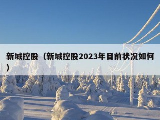 新城控股（新城控股2023年目前状况如何）