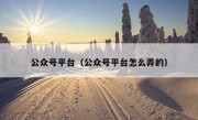 公众号平台（公众号平台怎么弄的）