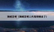 海贼王吧（海贼王吧二代鬼彻哪去了）