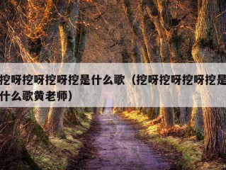 挖呀挖呀挖呀挖是什么歌（挖呀挖呀挖呀挖是什么歌黄老师）