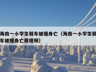 海南一小学生骑车被撞身亡（海南一小学生骑车被撞身亡原视频）