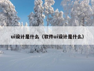 ui设计是什么（软件ui设计是什么）