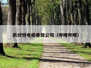 凯伏特电缆卷筒公司（哔哩哔哩）