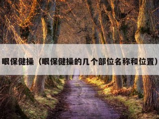 眼保健操（眼保健操的几个部位名称和位置）