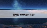 满天星（满天星的花语）