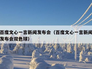 百度文心一言新闻发布会（百度文心一言新闻发布会双色球）