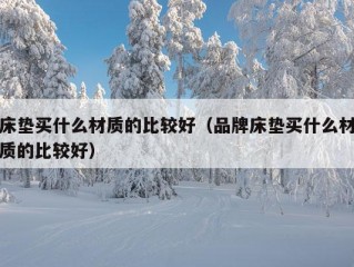 床垫买什么材质的比较好（品牌床垫买什么材质的比较好）