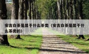 安吉白茶是属于什么茶类（安吉白茶是属于什么茶类的）