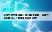 高校大学生裸辞大公司:活得像老鼠（高校大学生裸辞大公司活得像老鼠知乎）