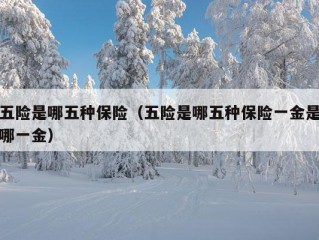 五险是哪五种保险（五险是哪五种保险一金是哪一金）