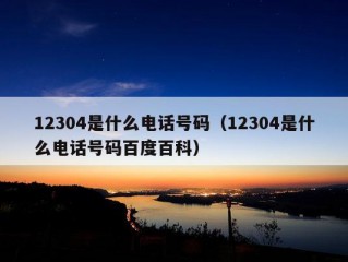 12304是什么电话号码（12304是什么电话号码百度百科）