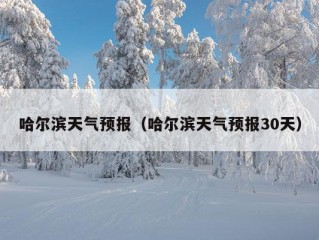 哈尔滨天气预报（哈尔滨天气预报30天）