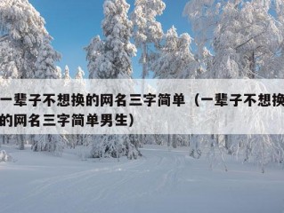 一辈子不想换的网名三字简单（一辈子不想换的网名三字简单男生）