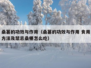 桑葚的功效与作用（桑葚的功效与作用 食用方法及禁忌桑椹怎么吃）