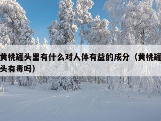 黄桃罐头里有什么对人体有益的成分（黄桃罐头有毒吗）