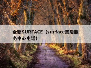 全新SURFACE（surface售后服务中心电话）