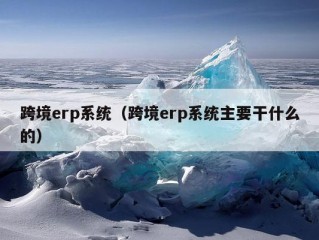 跨境erp系统（跨境erp系统主要干什么的）