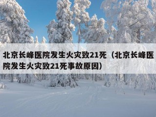 北京长峰医院发生火灾致21死（北京长峰医院发生火灾致21死事故原因）