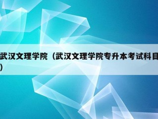 武汉文理学院（武汉文理学院专升本考试科目）