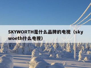 SKYWORTH是什么品牌的电视（skywoeth什么电视）