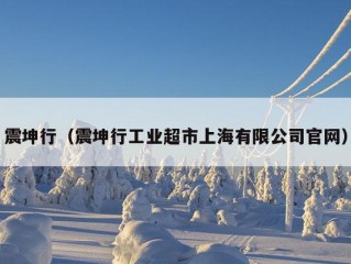 震坤行（震坤行工业超市上海有限公司官网）