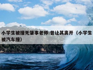 小学生被撞死肇事老师:曾让其离开（小学生被汽车撞）