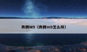 奔腾M9（奔腾m9怎么样）