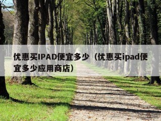 优惠买IPAD便宜多少（优惠买ipad便宜多少应用商店）