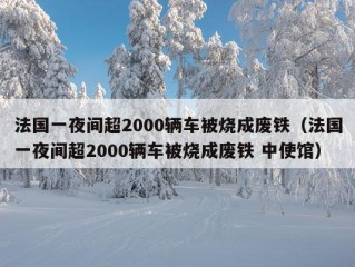 法国一夜间超2000辆车被烧成废铁（法国一夜间超2000辆车被烧成废铁 中使馆）