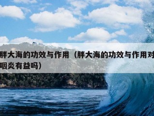 胖大海的功效与作用（胖大海的功效与作用对咽炎有益吗）