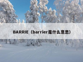 BARRIE（barrier是什么意思）