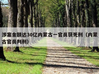 涉案金额达30亿内蒙古一官员获死刑（内蒙古官员判刑）