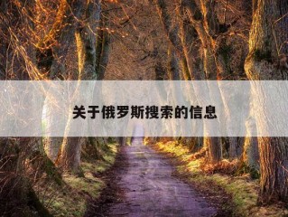 关于俄罗斯搜索的信息