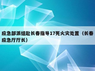 应急部派组赴长春指导17死火灾处置（长春应急厅厅长）