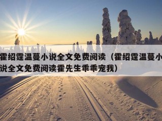 霍绍霆温蔓小说全文免费阅读（霍绍霆温蔓小说全文免费阅读霍先生乖乖宠我）