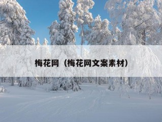 梅花网（梅花网文案素材）