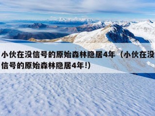 小伙在没信号的原始森林隐居4年（小伙在没信号的原始森林隐居4年!）