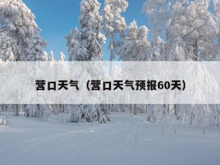 营口天气（营口天气预报60天）