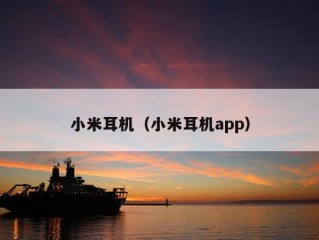 小米耳机（小米耳机app）