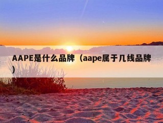 AAPE是什么品牌（aape属于几线品牌）