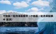 个税新一轮改革酝酿中（个税新一轮改革酝酿中 新浪）