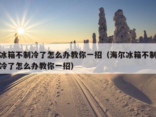 冰箱不制冷了怎么办教你一招（海尔冰箱不制冷了怎么办教你一招）