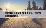 00后裸辞旅游被批:家里有矿吗（00后家里都很有钱吗）