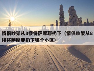 情侣吵架从8楼将萨摩耶扔下（情侣吵架从8楼将萨摩耶扔下哪个小区）