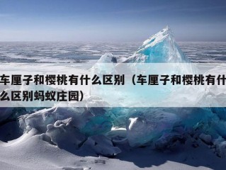 车厘子和樱桃有什么区别（车厘子和樱桃有什么区别蚂蚁庄园）