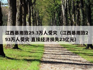 江西暴雨致29.3万人受灾（江西暴雨致293万人受灾 直接经济损失23亿元）