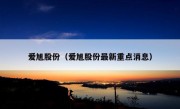 爱旭股份（爱旭股份最新重点消息）