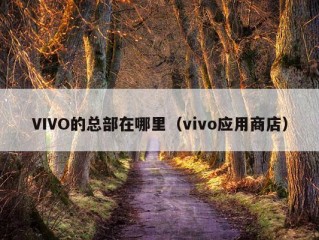 VIVO的总部在哪里（vivo应用商店）