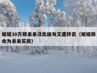 姐姐30万赎弟弟没出缅甸又遭转卖（姐姐陨命为弟弟买房）