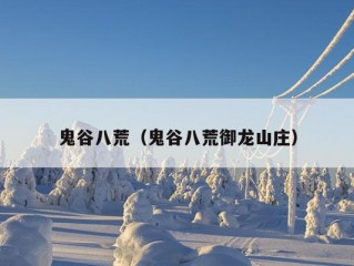 鬼谷八荒（鬼谷八荒御龙山庄）